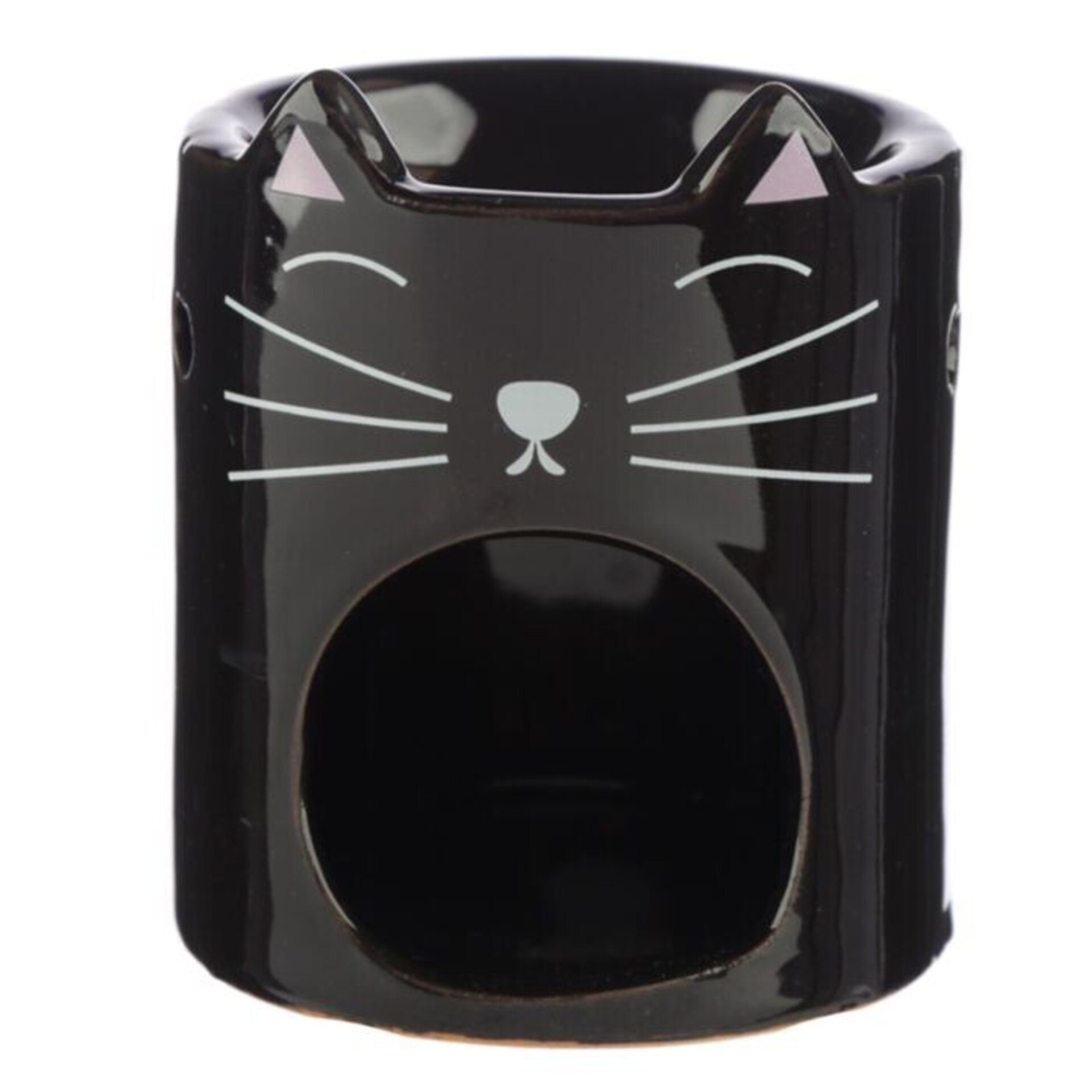Gatos Negro y Blanco - 2